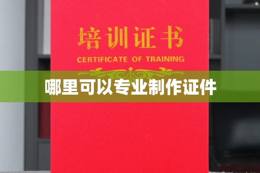 永善哪里可以专业制作证件