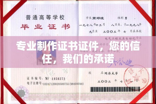 永善专业制作证书证件，您的信任，我们的承诺