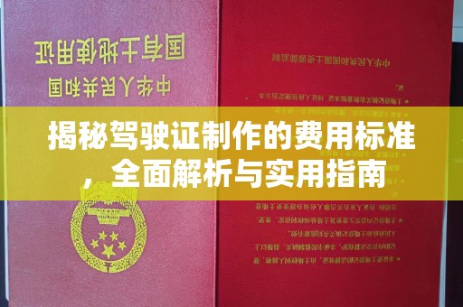 永善揭秘驾驶证制作的费用标准，全面解析与实用指南