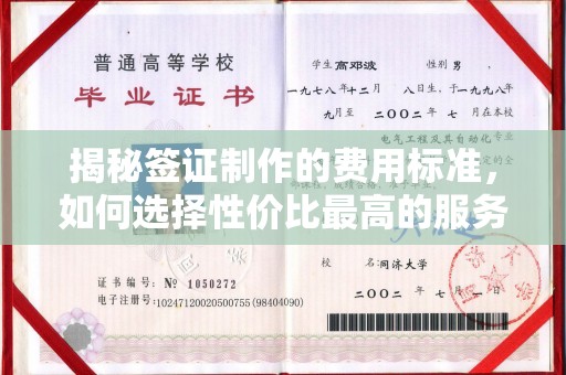 永善揭秘签证制作的费用标准，如何选择性价比最高的服务？