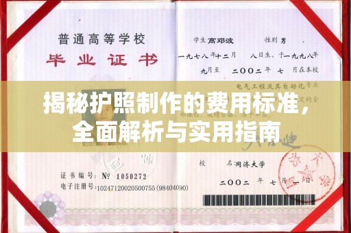 永善揭秘护照制作的费用标准，全面解析与实用指南