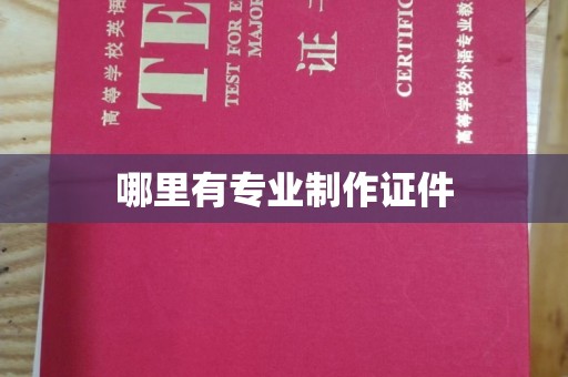 永善哪里有专业制作证件