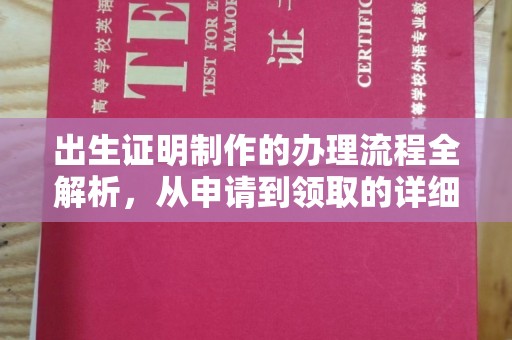 永善出生证明制作的办理流程全解析，从申请到领取的详细指南
