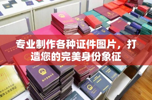 永善专业制作各种证件图片，打造您的完美身份象征