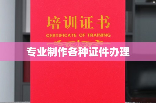 永善专业制作各种证件办理