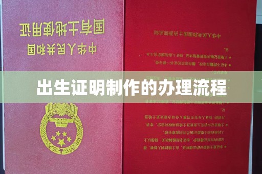 永善出生证明制作的办理流程