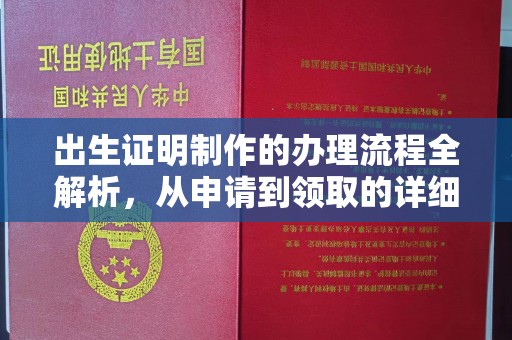 永善出生证明制作的办理流程全解析，从申请到领取的详细指南