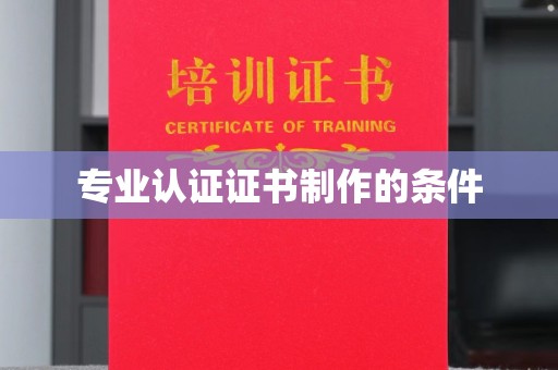 永善专业认证证书制作的条件